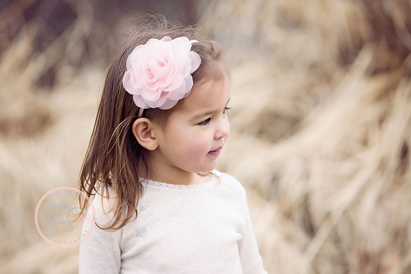 _MG_1834-Edit