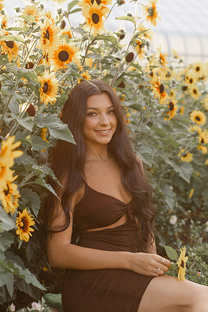ARIANA-460