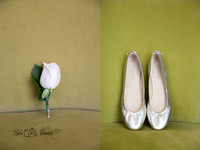 shoe2